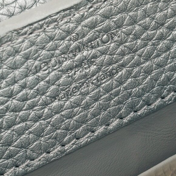 Louis Vuitton Varanus Salvator Lizard Flower Chain Capucines Mini Silver - Picture 14 of 15